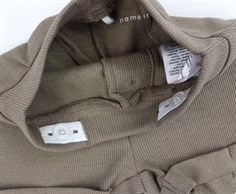 Name It shorts fungi